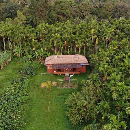 Ibbani Homestay, Siddapur Extérieur photo