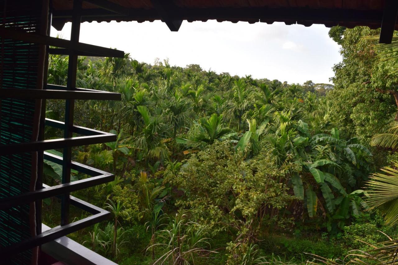 Ibbani Homestay, Siddapur Extérieur photo