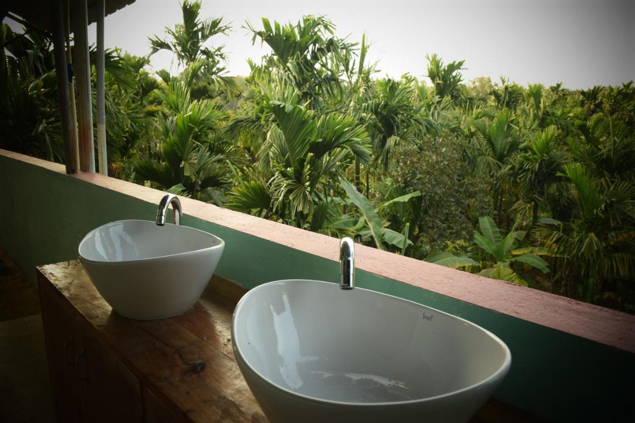 Ibbani Homestay, Siddapur Extérieur photo