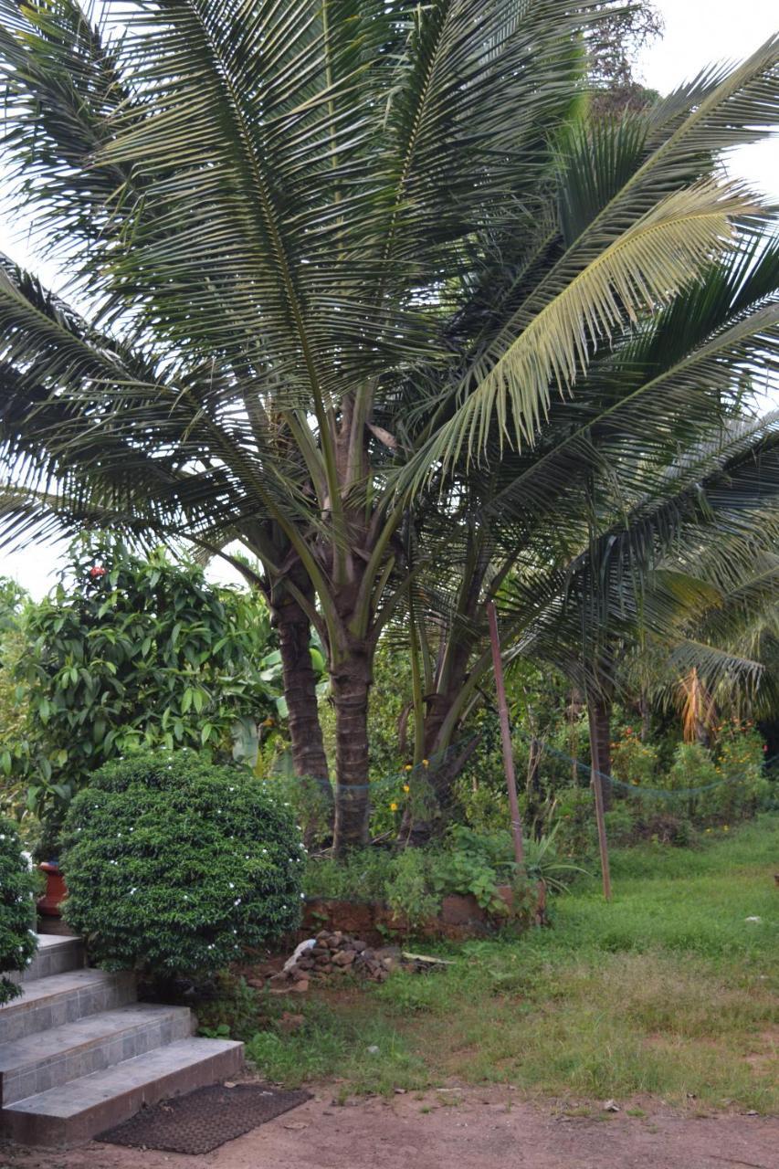 Ibbani Homestay, Siddapur Extérieur photo