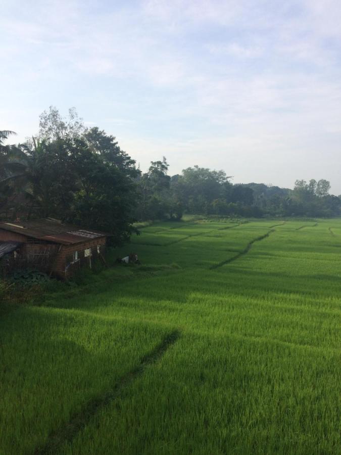 Ibbani Homestay, Siddapur Extérieur photo