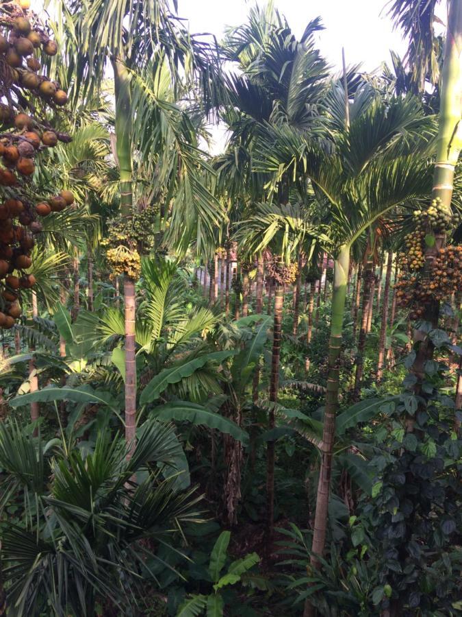 Ibbani Homestay, Siddapur Extérieur photo