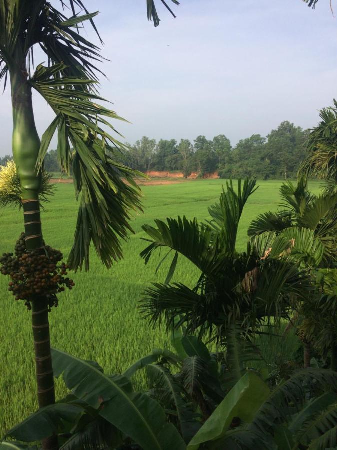 Ibbani Homestay, Siddapur Extérieur photo